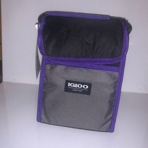 Igloo Cooler Bag Holds 6 Cans Lunch Sack